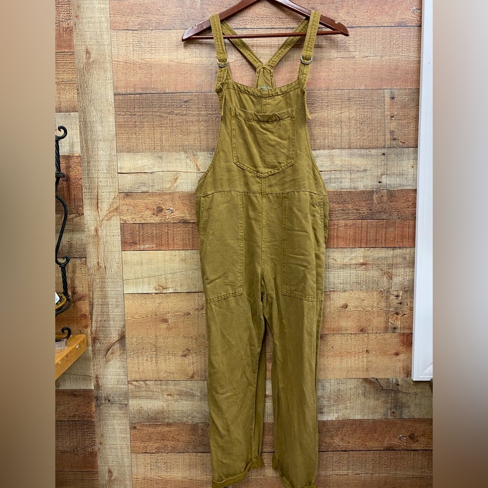 Aerie Overalls
